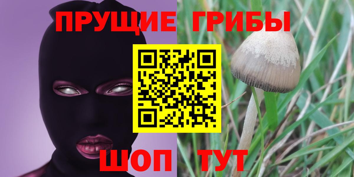 Галлюциногенные грибы Psilocybe  Вход с VPN  Псилоцибиновые грибы Psilocybe  цена наркотик  Трёхгорный 